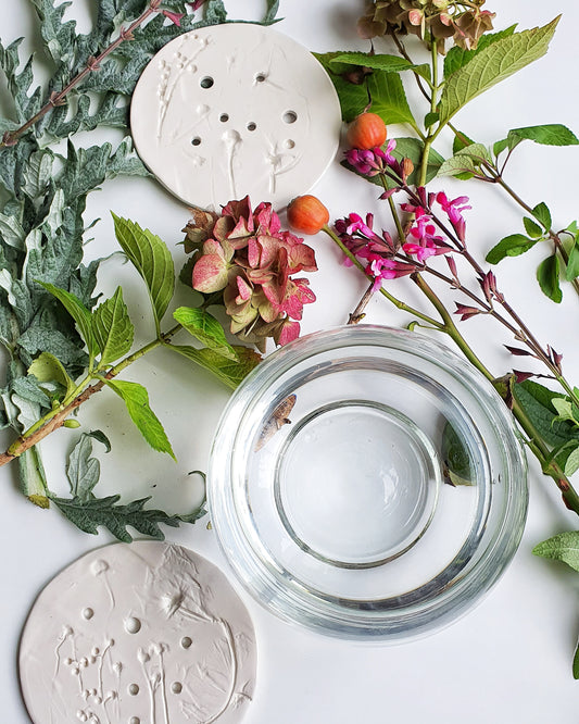 V _ Riduttore di vaso BOTANICA