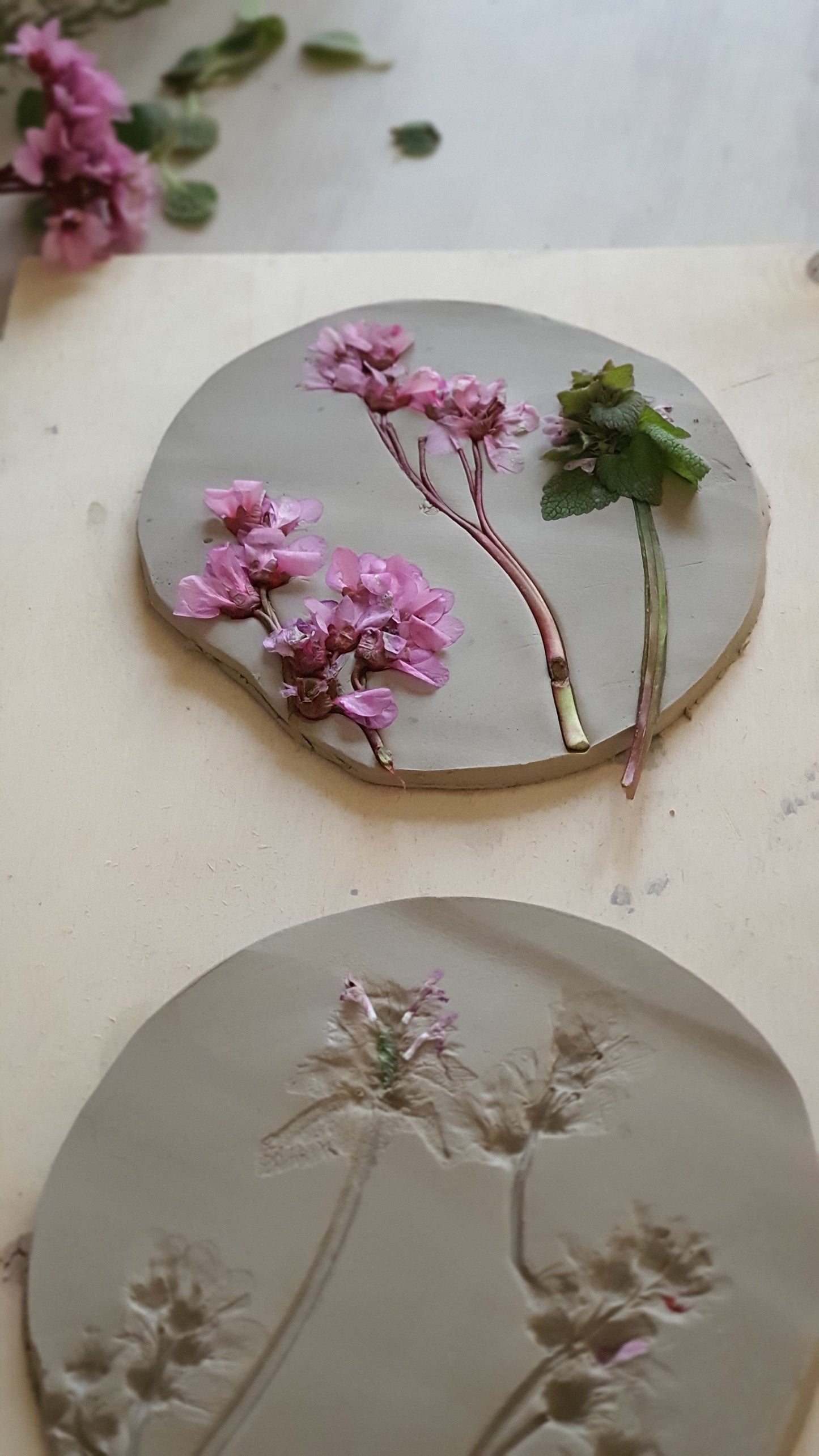 Z_  WORKSHOP  1 PIATTO CON IMPRESSIONI BOTANICHE CON LA TECNICA DELLA LASTRA